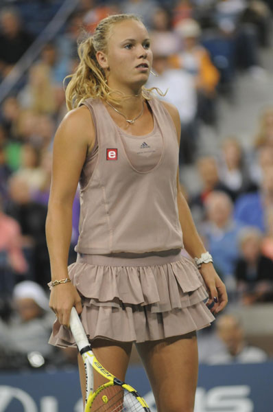 © http://upload.wikimedia.org/wikipedia/commons/d/d6/US_Open_2009_4th_round_154.jpg Gallery image