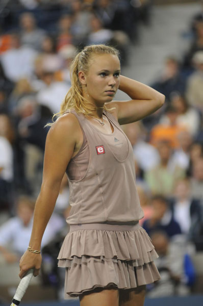 © http://upload.wikimedia.org/wikipedia/commons/1/1b/US_Open_2009_4th_round_156.jpg Gallery image