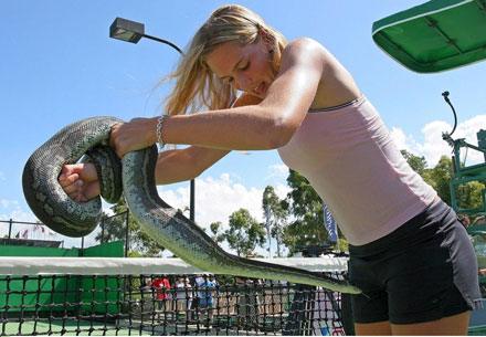 © http://wtatourporjmunoz.blogspot.com/2008/12/tenistas-fuera-de-las-pistas-iv-glamour.html Gallery image