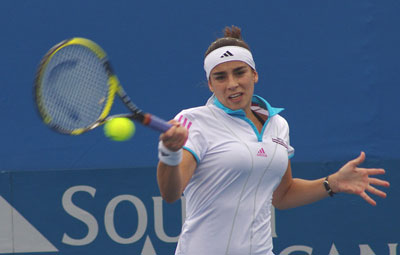 © http://en.wikipedia.org Gallery image