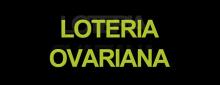 Los campeones y la “loteria ovariana” 