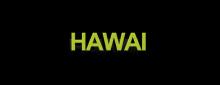 Hawai quiere promocionarse como “paraíso deportivo” 