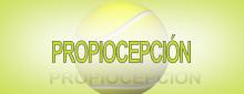 PROPIOCEPCIÓN