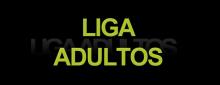 La liga para tenistas adultos en Estados Unidos 