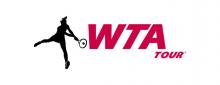 ¿Dominará alguna tenista la WTA en el 2009? 