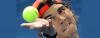 ¿Llegará Nadal a la final de Roland Garros 2013?